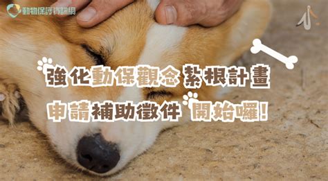 寵物資料查詢|動物保護資訊網